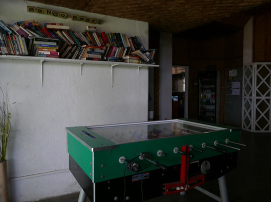 Bongo Bongo Divers主图