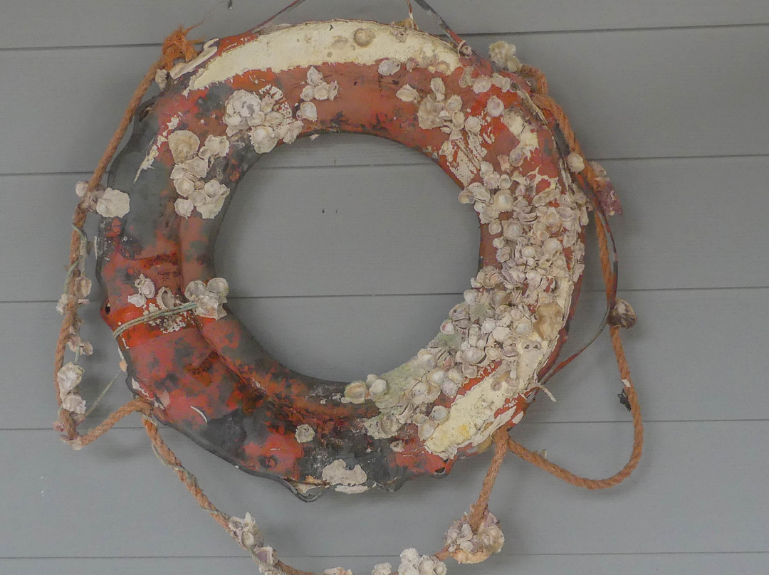 Turtle Beach Inn主图