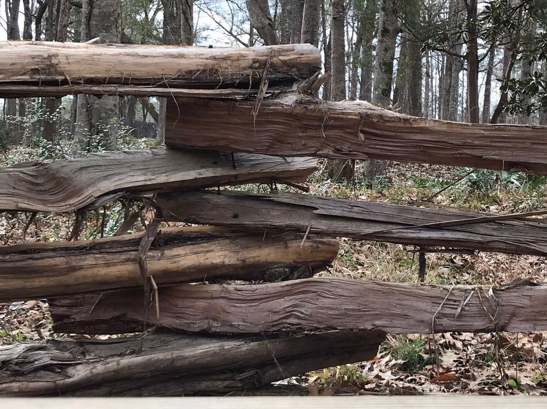 Colonial Dorchester State Historic Site-Summerville必去景点