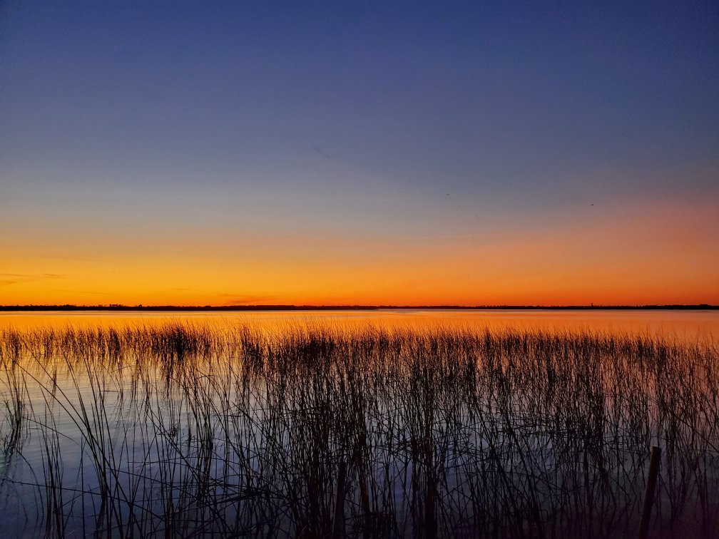 Captain Fred's Airboat Nature Tours景点图片