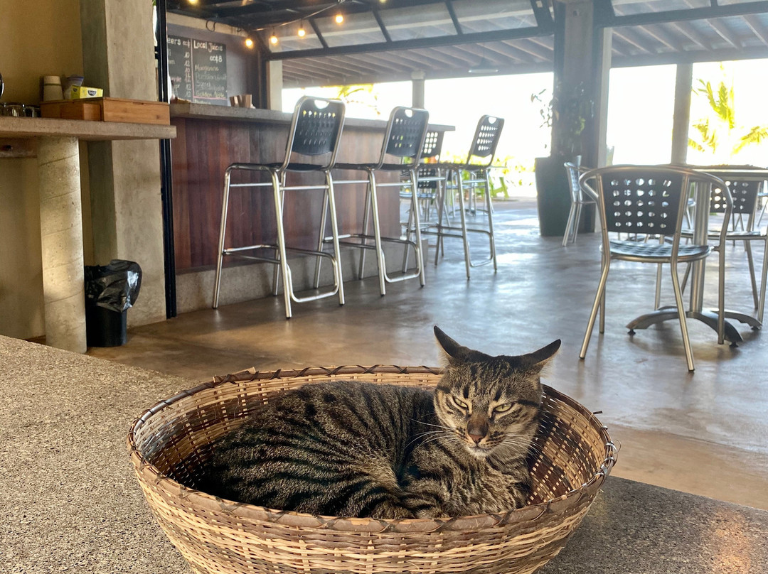 Pagua Bay House Oceanfront Cabanas主图