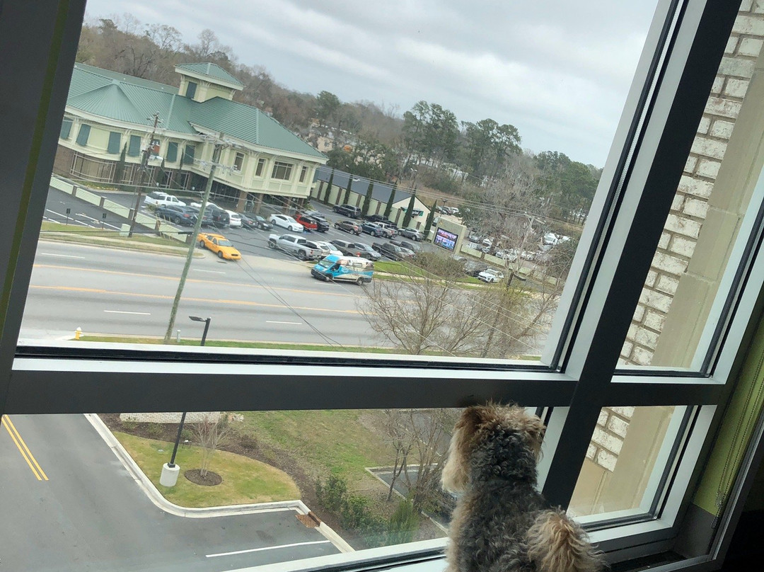 Home2 Suites By Hilton Charleston West Ashley主图