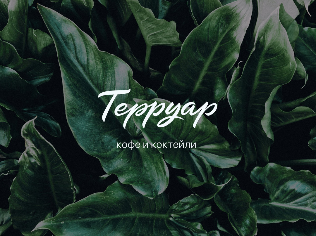Terruar