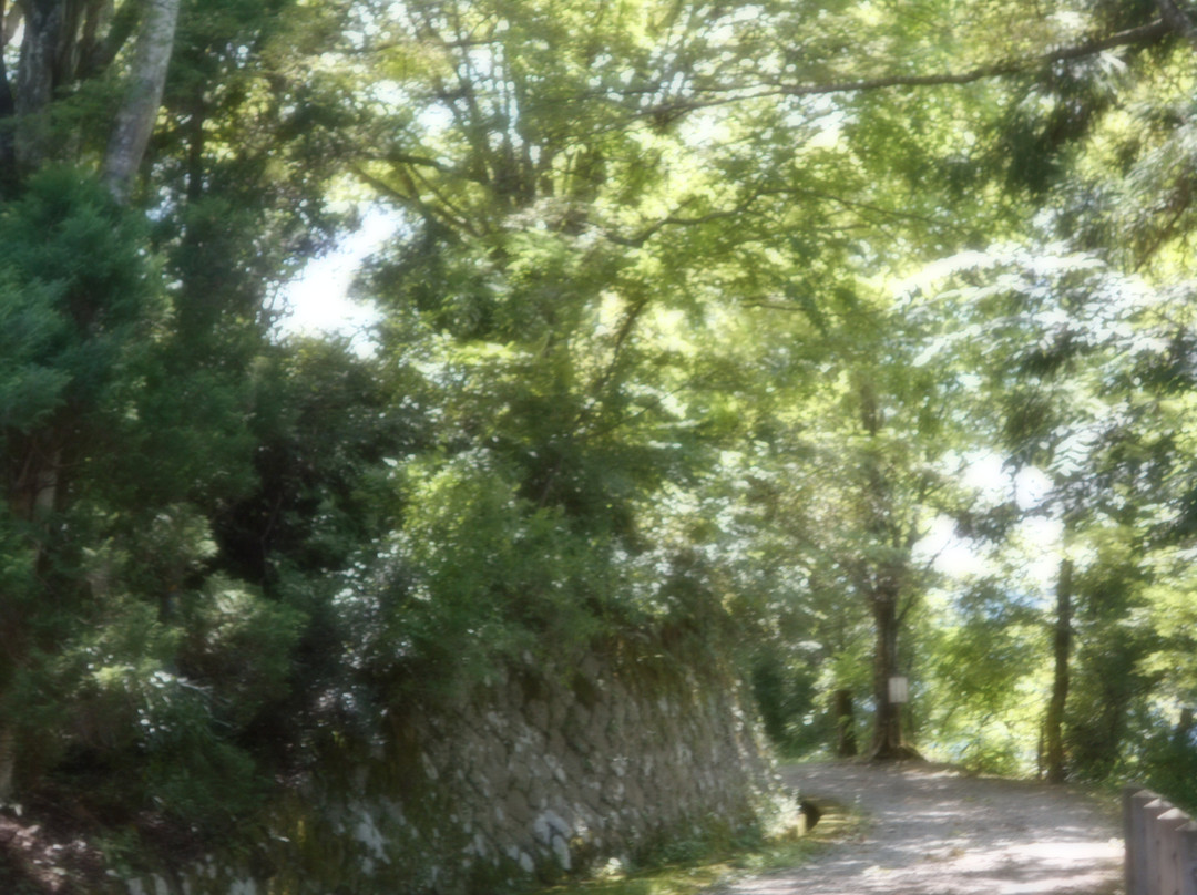 Shiroyama Park-高山市必去景点