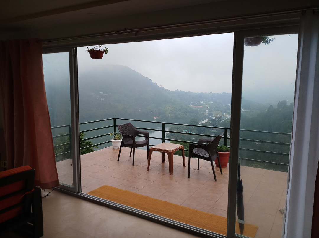 Nest And Hives主图