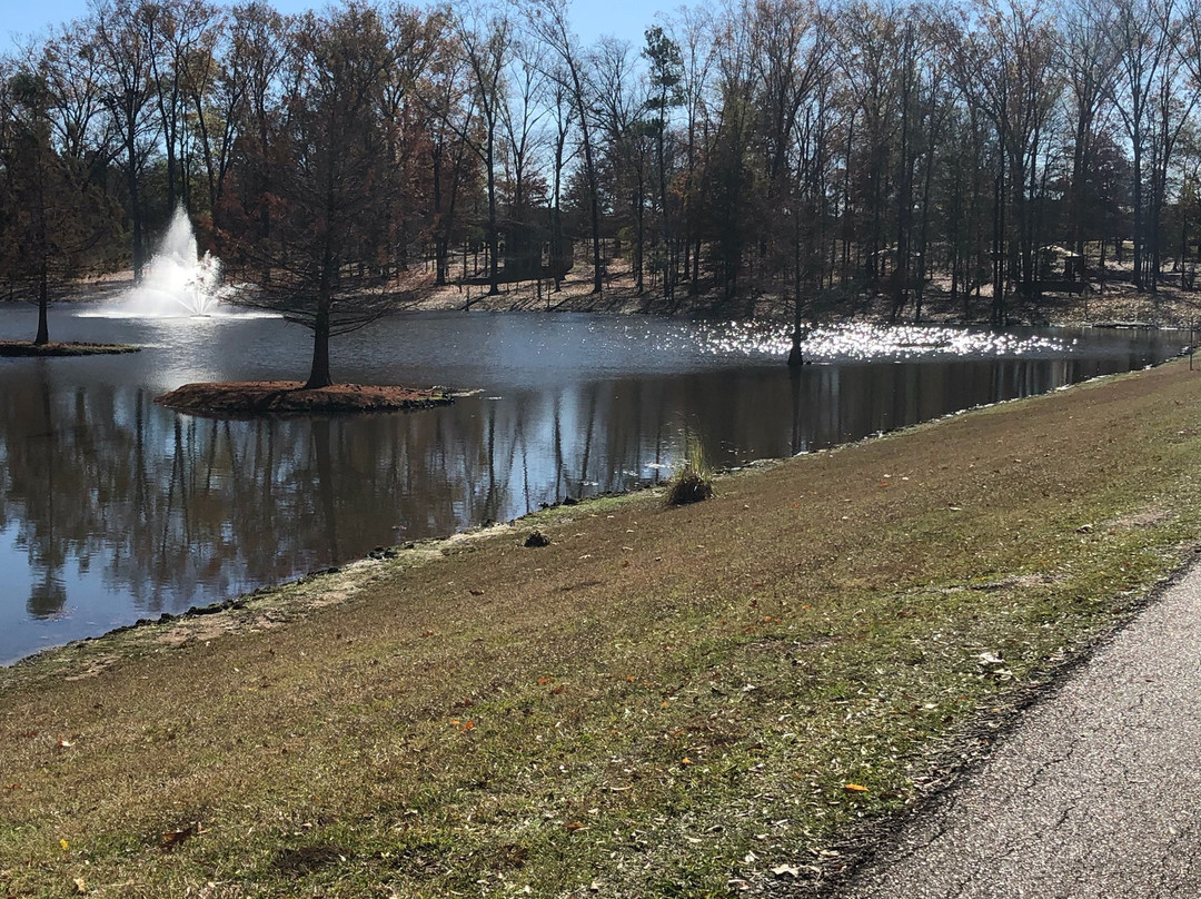 Flowood Nature Park景点图片