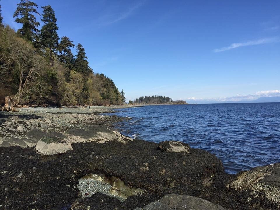 Pipers Lagoon Park-纳奈莫必去景点