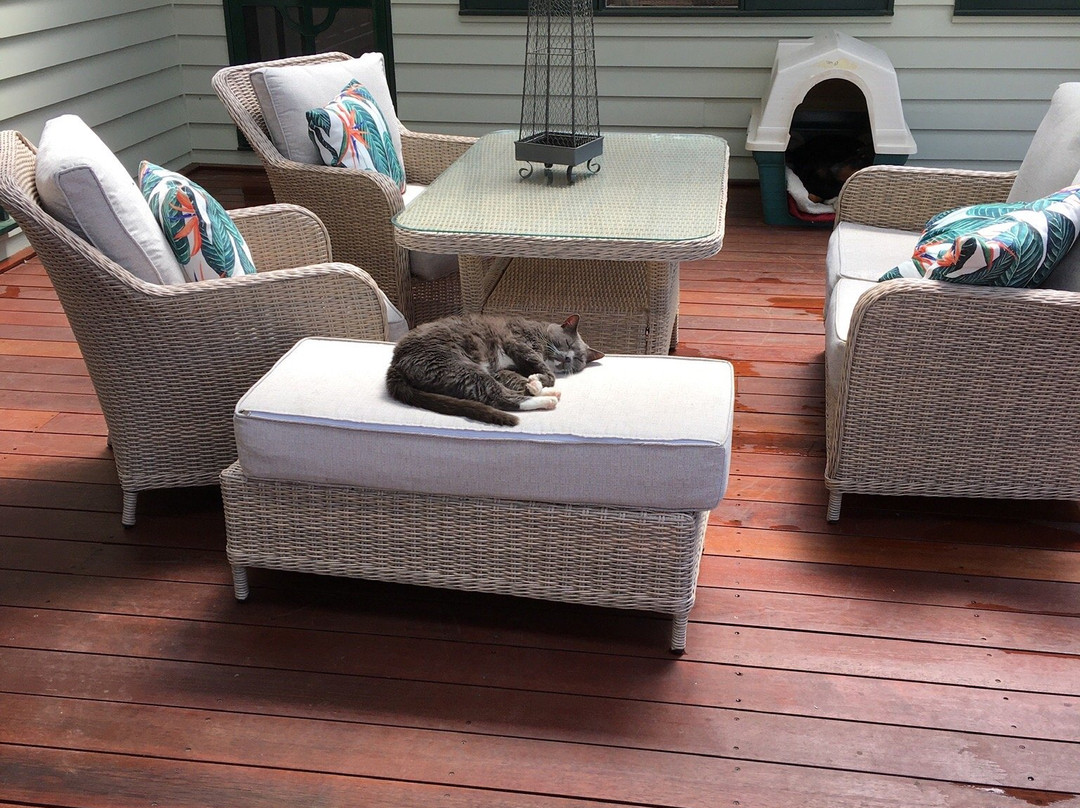 Woodend Old Schoolhouse B&B主图