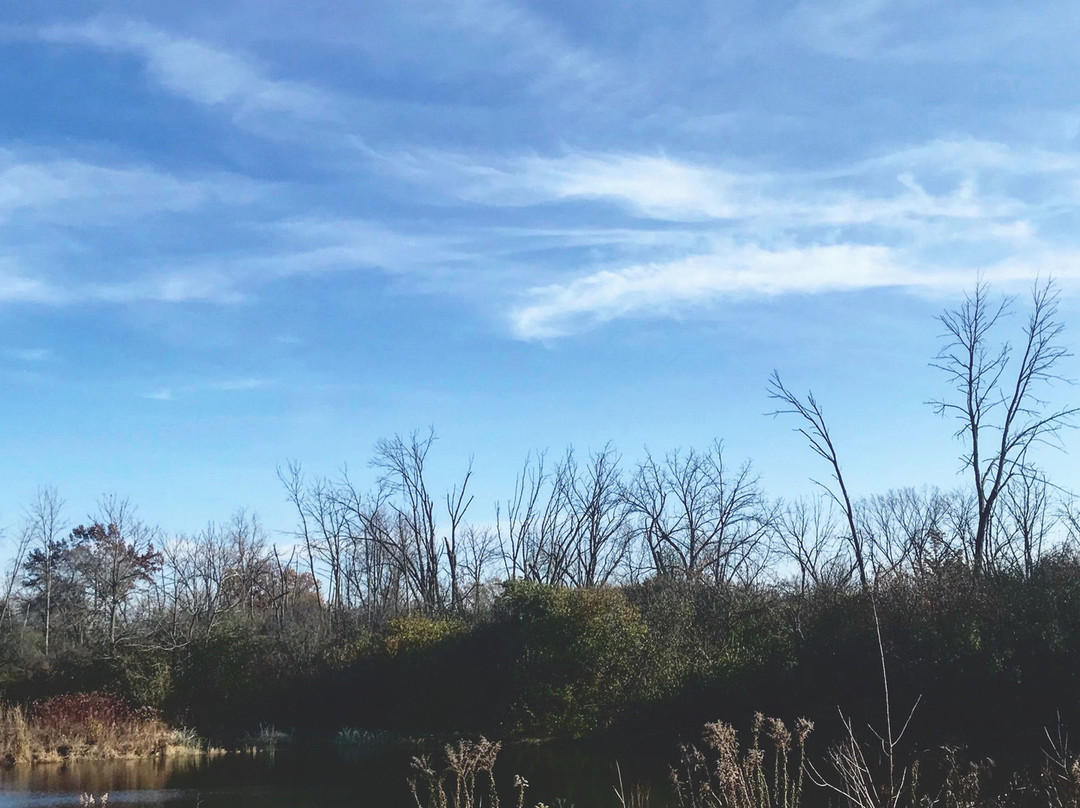 Willowbrook Wildlife Center-Glen Ellyn必去景点