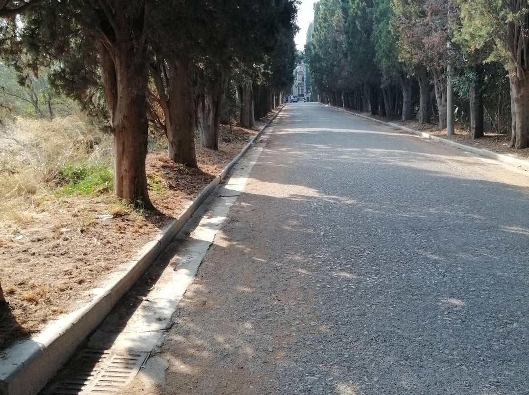 Agnus Dei Catholic Church-Kos Town必去景点