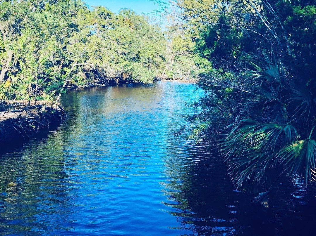 Waterfront Park-棕榈海岸必去景点