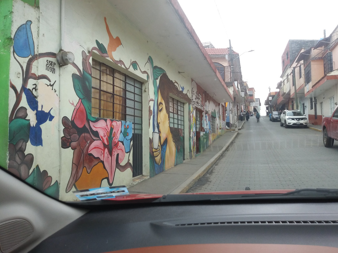 La Xochipila-Xicotepec必去景点