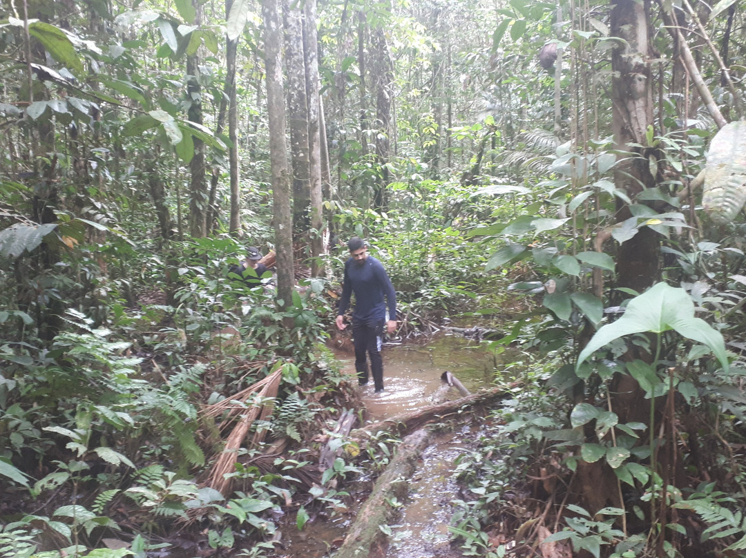 Amazon Experience Tours Leticia Amazonas-莱蒂西亚必去景点