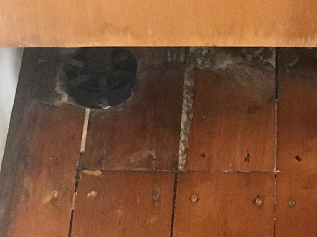 剑桥寄宿客房旅馆主图