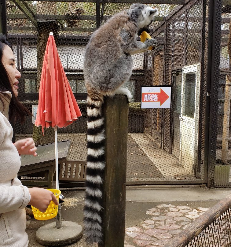 Sayuri World-市原市必去景点
