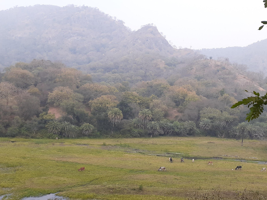 Countryside Excursion景点图片
