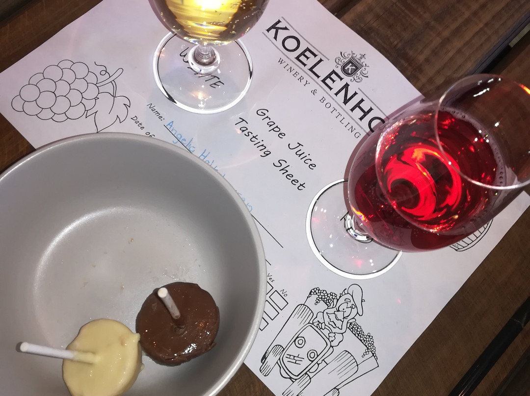 Koelenhof Wine Cellar-斯泰伦博斯必去景点