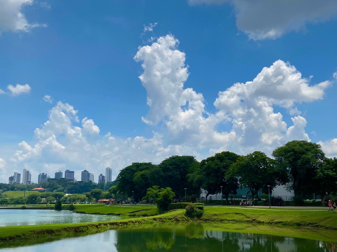 巴立吉公园-库里提巴必去景点