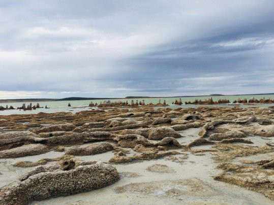 TDF Patagonia TOUR-Porvenir必去景点