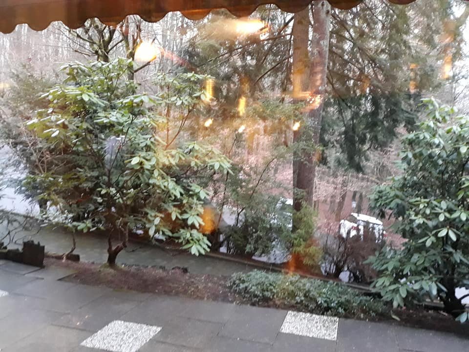 豪斯瓦尔德西格兰酒店-餐饮