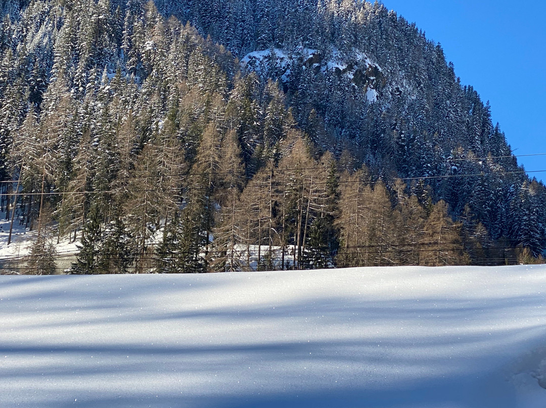 Susch旅游攻略图片