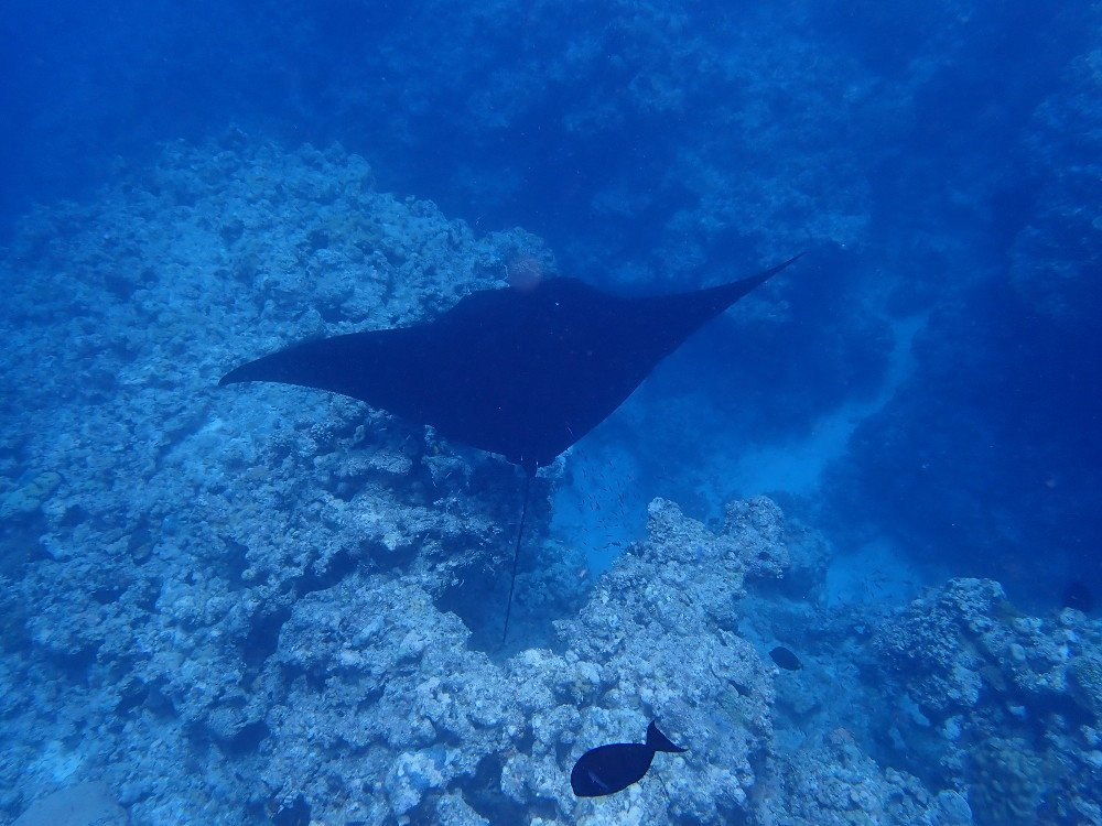 Les Pleiades Du Sud D’Ouvea-Ouvea必去景点