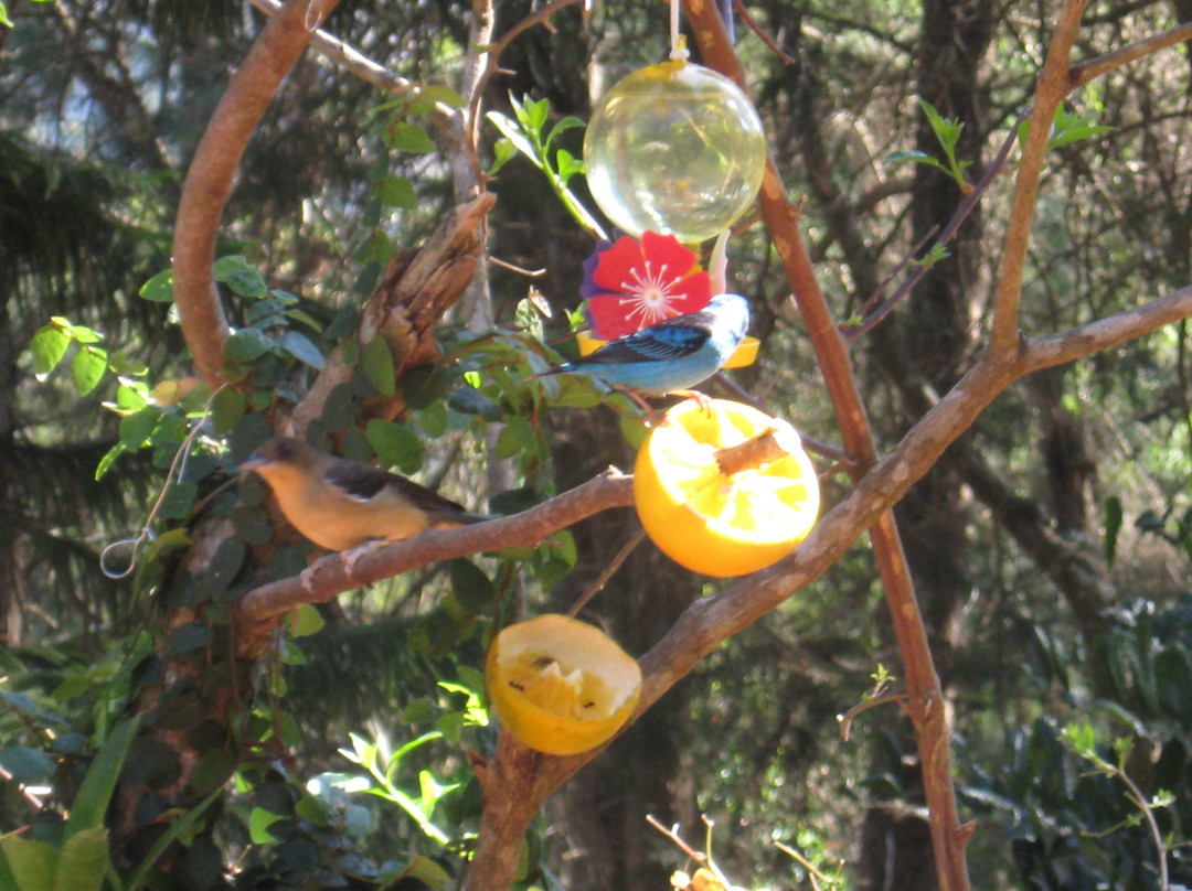 Pousada Paraiso主图