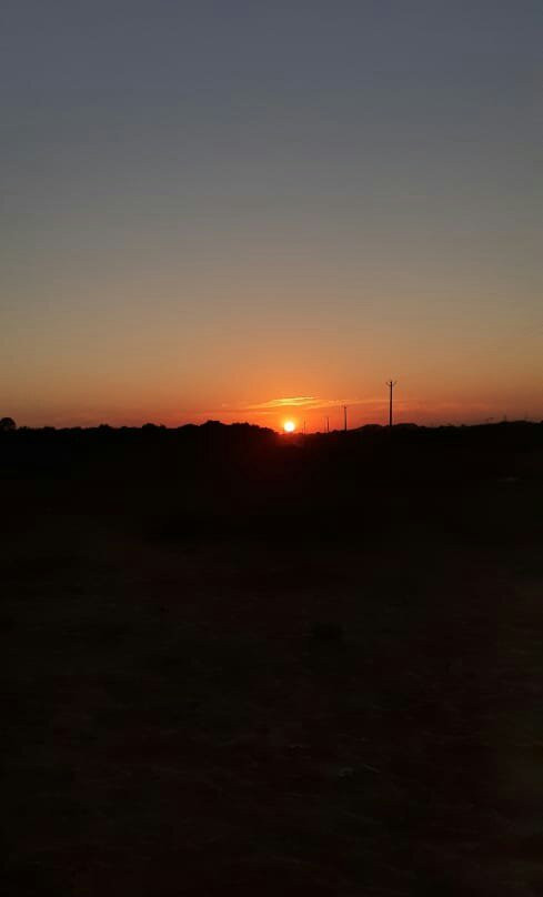 Sudama Pushkar Camel Safari in Desert-普希卡必去景点