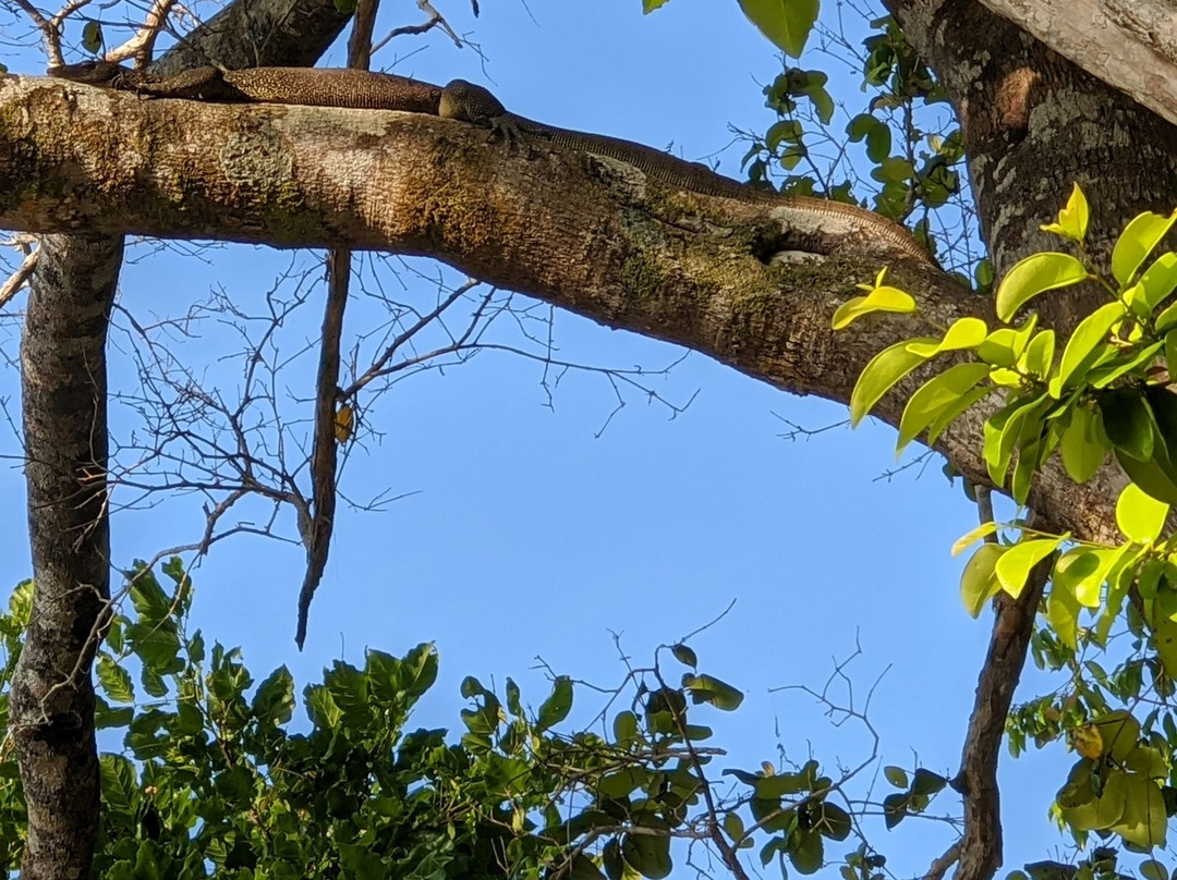 拉贾安帕特群岛-索龙必去景点