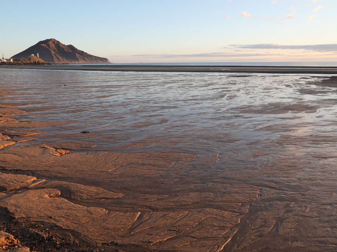 Hotel El Cortez主图