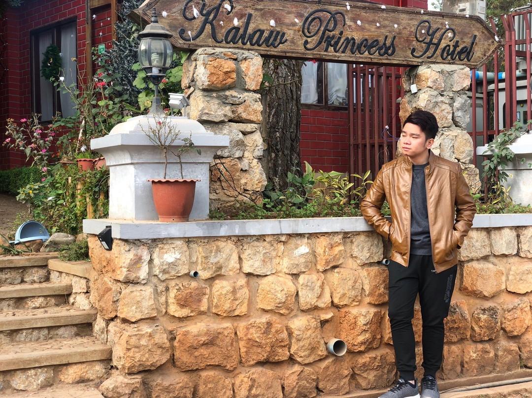 Kalaw Princess Hotel主图