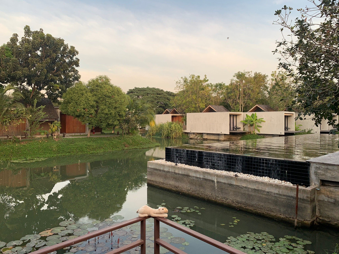 Into The Forest Resort主图