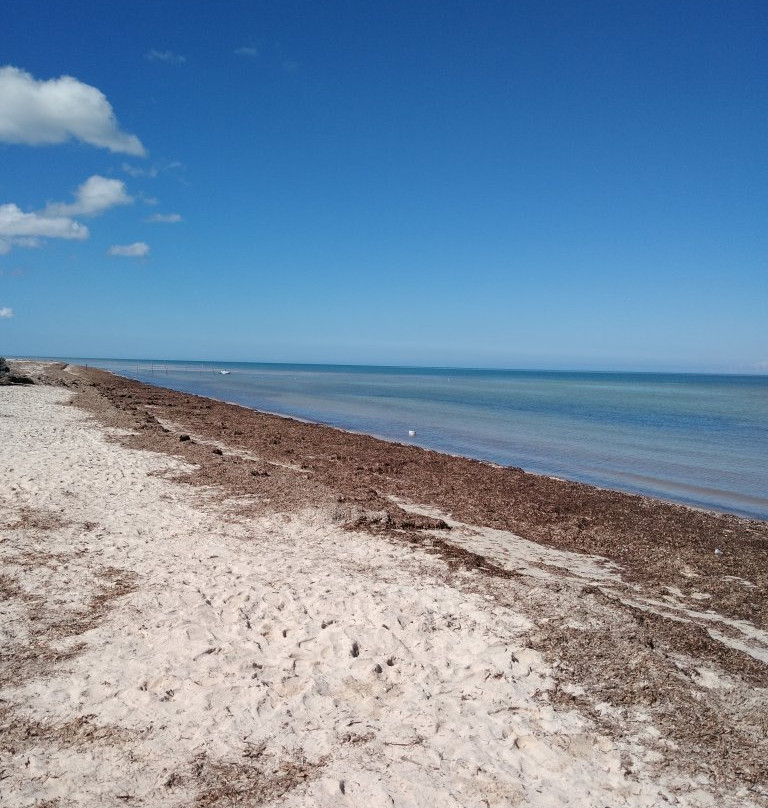 Tecnohotel Beach主图