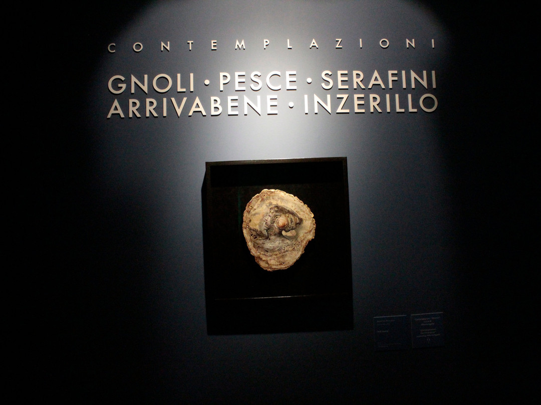 MuSa - Museo Di Salò景点图片