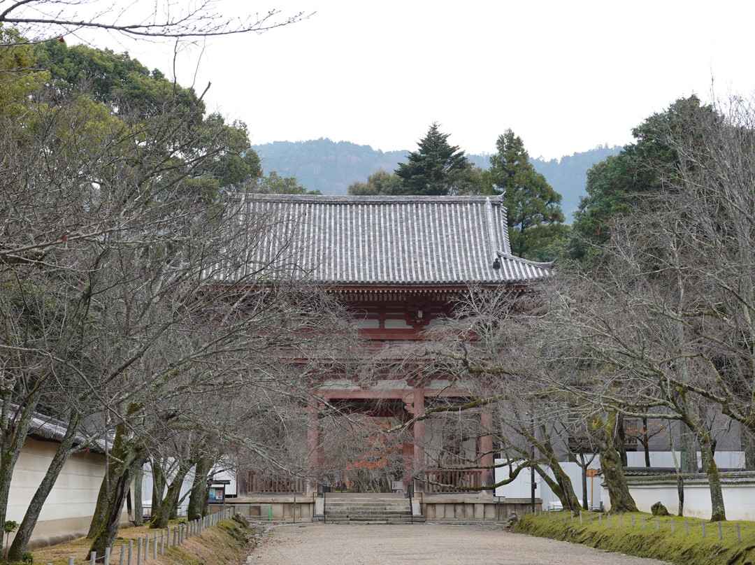 Daigo-ji Temple Niomon景点图片