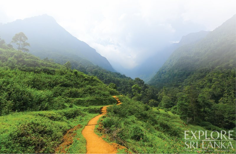 Mandaram Eco Resort主图