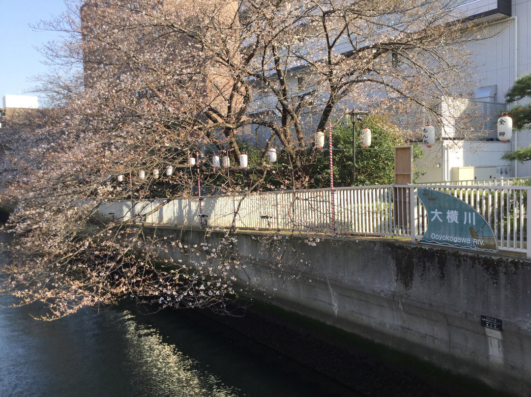 Fukagawa Sakura Festival景点图片