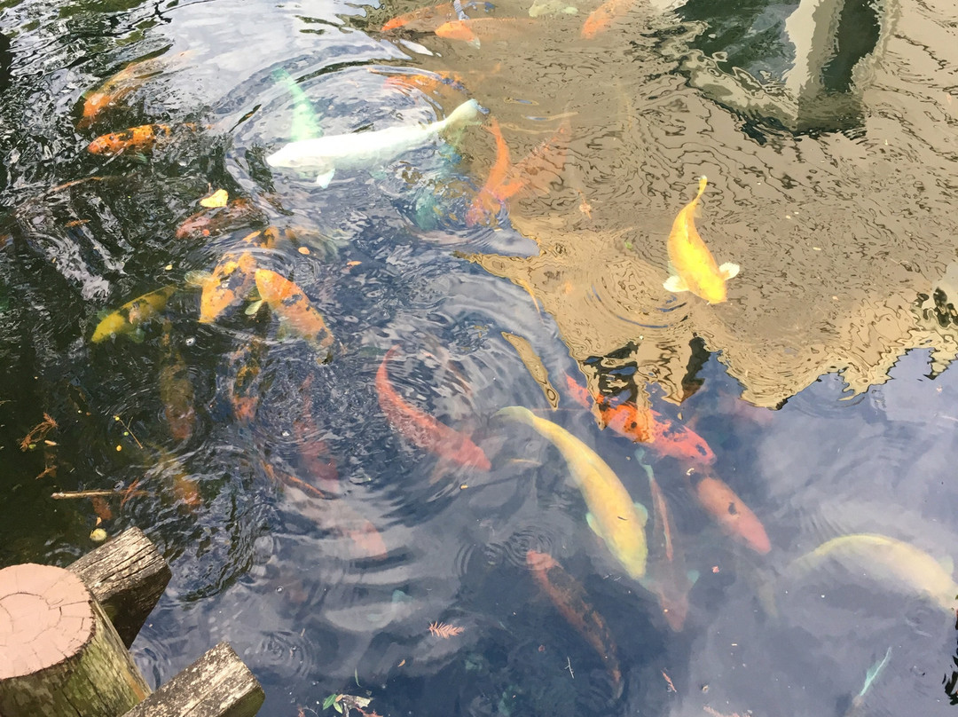 Sheraton Arlington Hotel主图