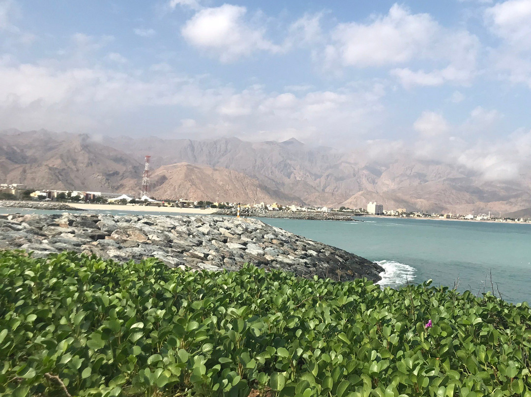 Emirate of Sharjah旅游攻略图片