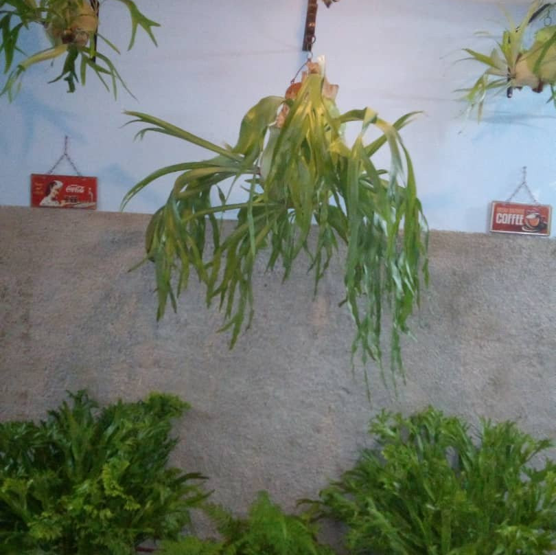 Hostal Idanita主图