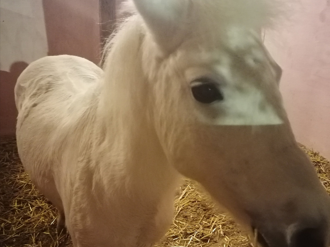 Ipposchesi-Finikia必去景点