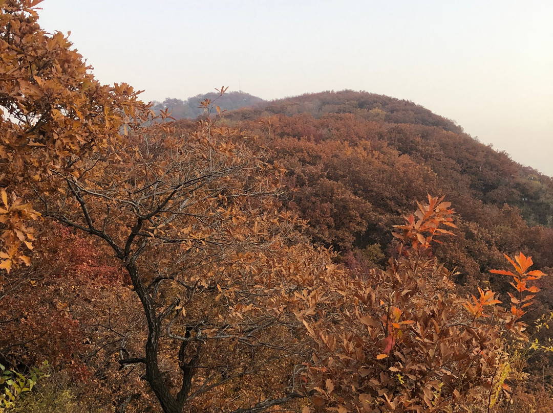 龙潭山-吉林市必去景点