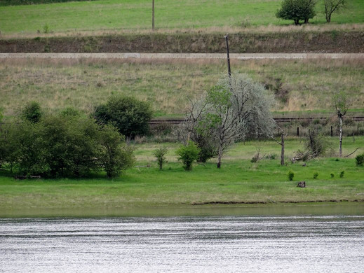 Pritchard Provincial Park-Pritchard必去景点