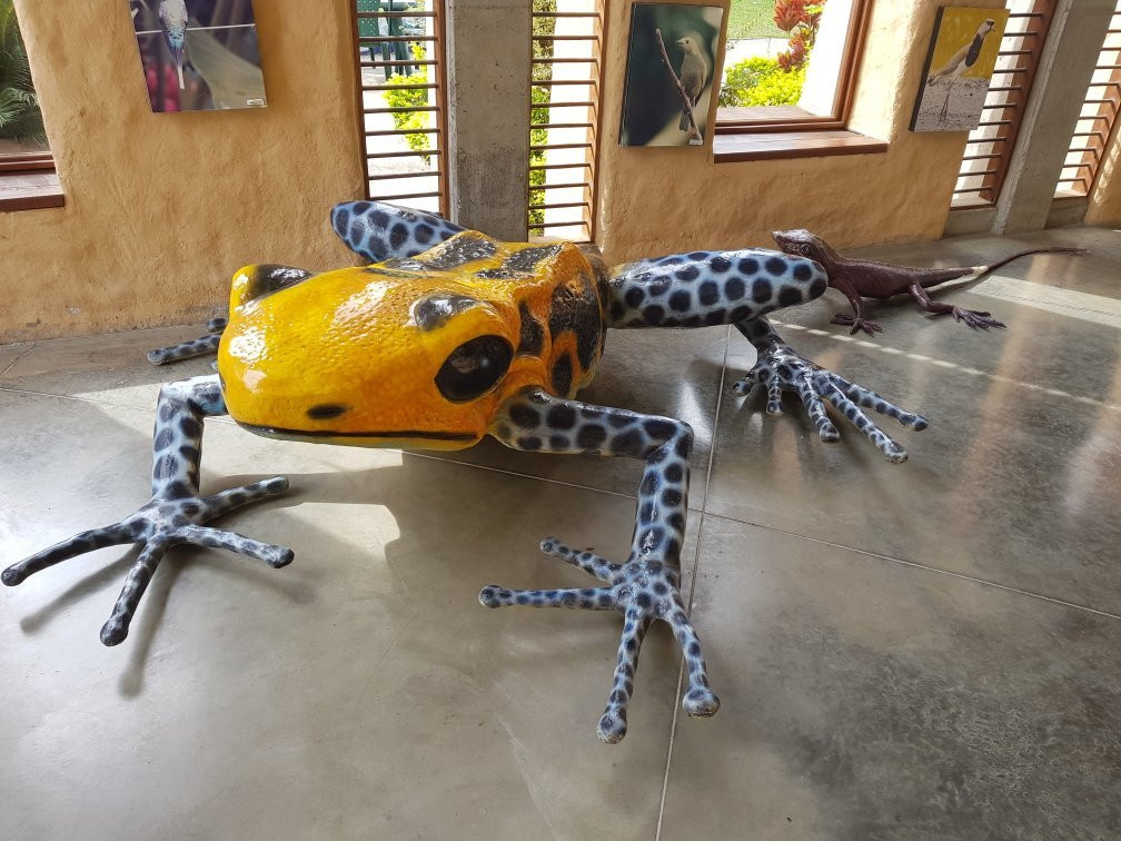 Universidad Tecnologica de Pereira-佩雷拉必去景点