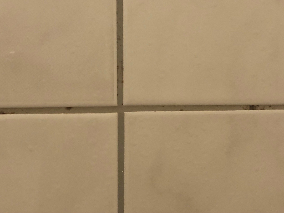 Hotel Schatzmann主图