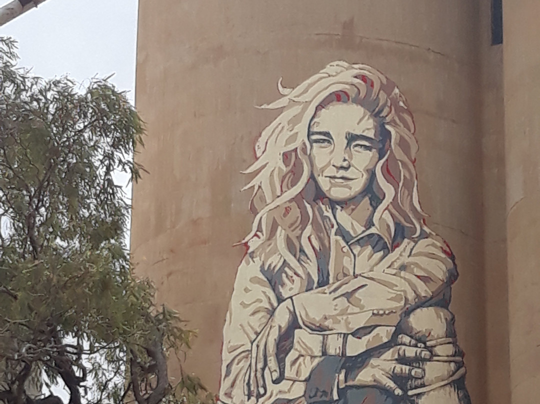 Rosebery Silo Art-Beulah必去景点