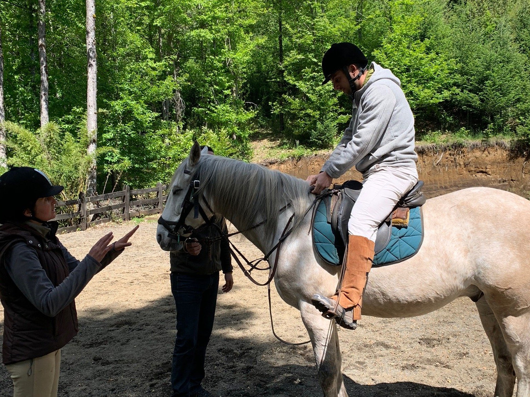Centro Ecuestre San Pedro-Curarrehue必去景点