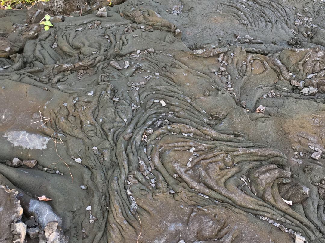 Saleaula Lava Fields-萨瓦伊岛必去景点