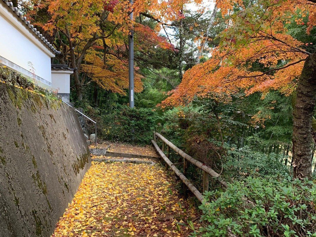 Kannon-ji Temple-长冈京市必去景点