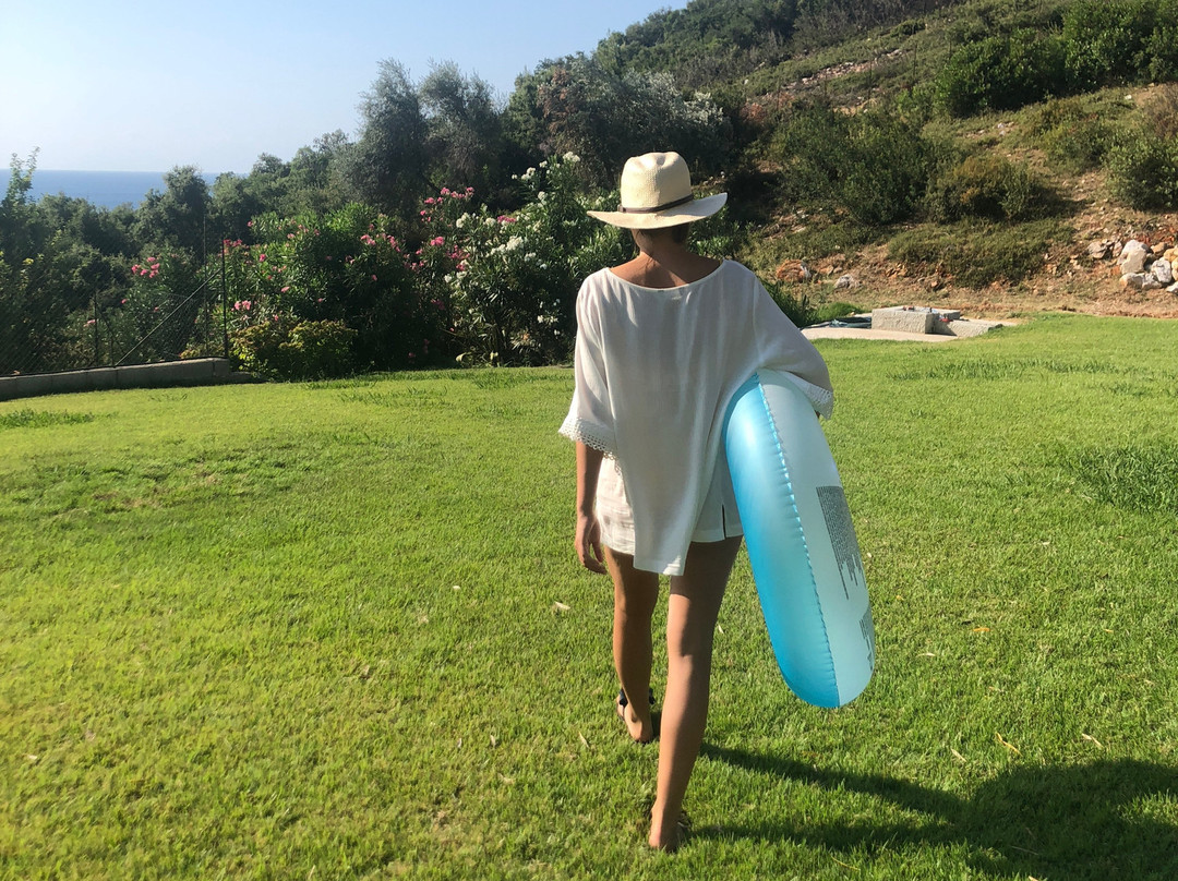 Mando Beachfront主图